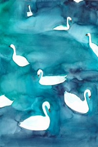 Graceful Swans on Water by Christine Lindstrom