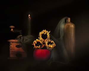 Dried Sunflowers Candlelight by Christine SUISSIA