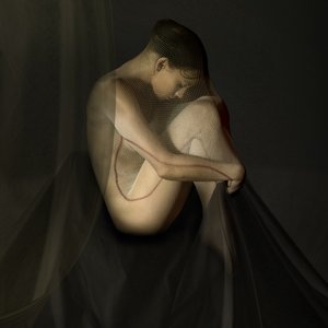 Enmeshed in Thought by Christine von Diepenbroek