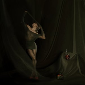 Sheer Fabric Grace by Christine von Diepenbroek
