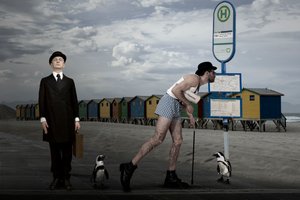 Surreal Beach Bus Penguins