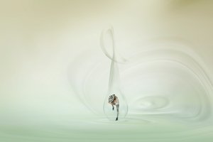 Whimsical Bubble Dancer