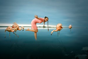 Woman Among Flamingos by Christine von Diepenbroek