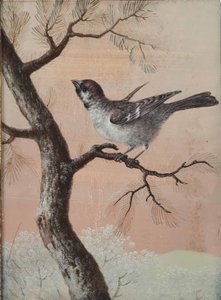 Tit on a Branch by Christoph Ludwig Agricola