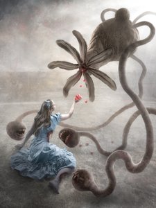 Macabre Wonderland
