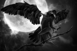 Moonlit Winged Embrace