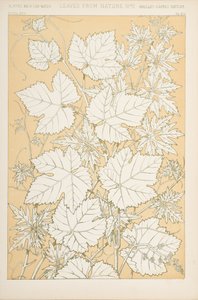 Leaves from Nature, 1868