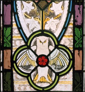 Owl and flower