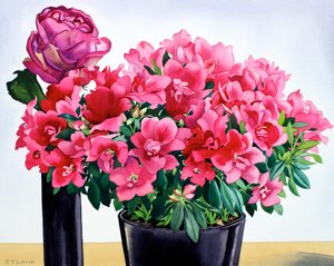 Azalea Rose by Christopher Ryland