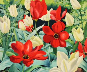 Early Tulips by Christopher Ryland