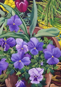 Flowerpots with Pansies, 2007