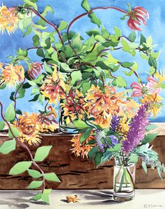 Honeysuckle