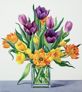 Spring Flowers by Christopher Ryland