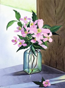 Still Life Pink Clematis by Christopher Ryland