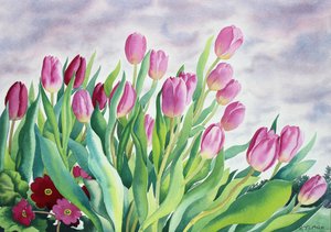 Tulips by Window by Christopher Ryland