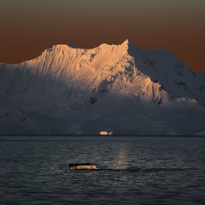 Whale Tail Golden Sunset by Chuanxu Ren