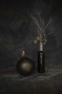 Butterfly and Dried Botanicals by Cicek Kiral