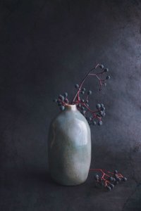 Dark Berries in Vase by Cicek Kiral