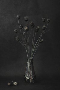 Dark Botanical Still Life by Cicek Kiral