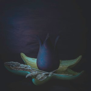 Dark Botanical Still Life by Cicek Kiral
