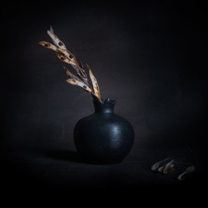 Dark Botanical Still Life by Cicek Kiral