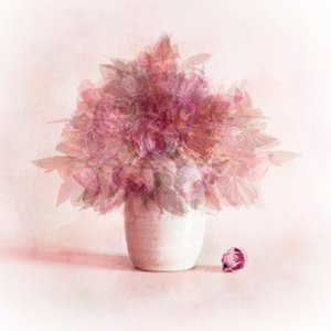 Dreamy Pink Flowers by Cicek Kiral