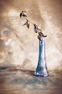 Dried Branch Blue Vase by Cicek Kiral