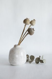 Dried Poppy Pods Vase by Cicek Kiral