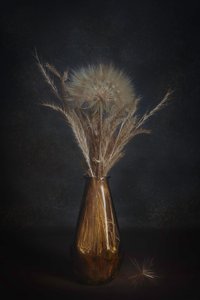 Elegant Dandelion Still Life by Cicek Kiral