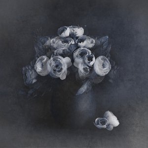 Elegant Grey Blooms by Cicek Kiral