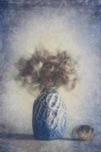 Faded Rose Still Life by Cicek Kiral