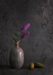 Fresh From the Garden by Cicek Kiral
