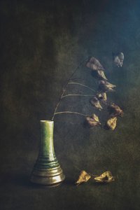 Green Vase Dried Pods by Cicek Kiral