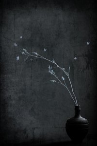 Minimalist Branch With Butterflies by Cicek Kiral