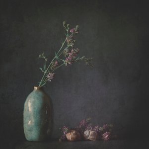 Moody Botanical Still Life by Cicek Kiral