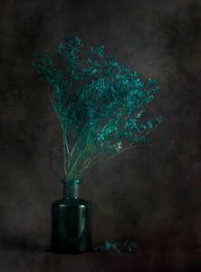 Moody Botanical Still Life by Cicek Kiral