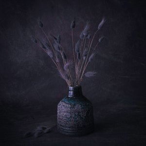 Moody Dried Flowers by Cicek Kiral