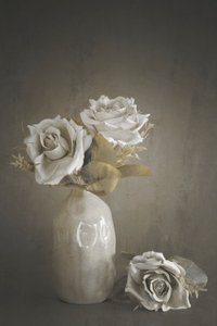 Muted Roses In Vase by Cicek Kiral