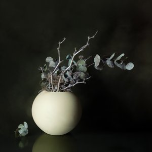 Quiet Eucalyptus Vase by Cicek Kiral