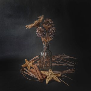 Quiet Rustic Still Life by Cicek Kiral