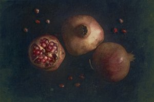 Rich Pomegranate Still Life