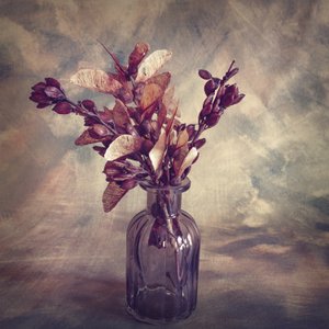 Rustic Dried Botanicals by Cicek Kiral