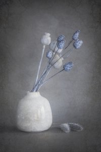 Serene Dried Flowers by Cicek Kiral