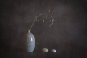 Serene Still Life with Urchins by Cicek Kiral