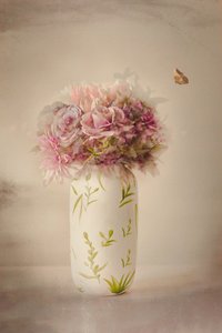 Soft Floral Butterfly by Cicek Kiral
