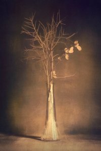 Warm Branch Vase by Cicek Kiral