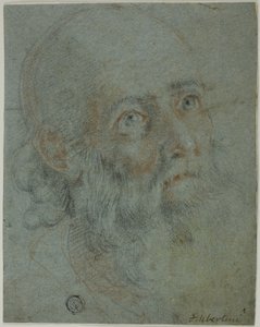Head of a Bearded Man, Looking Up to Right (detail)