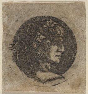 Head of a Roman Emperor by Circle of Francesco Francia