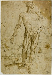 Flayed Figure before Landscape (front); Sketches of Standing Male Nude, Seated Child, Stooping Woman (back)