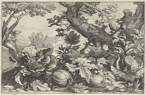 Landscape with Pumpkins and Cabbages by Claes Jansz. Visscher (II)